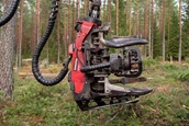 New Harvester Head in forest